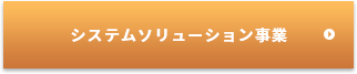 システムソリューション事業 